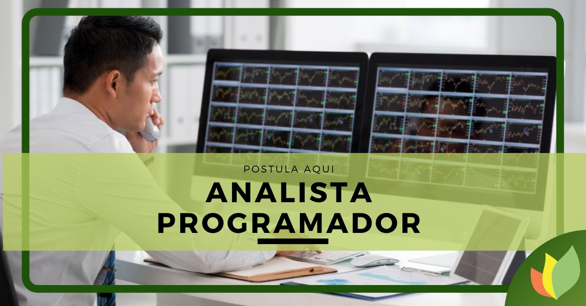 Analista Programador