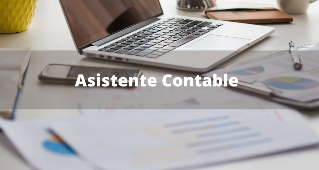 Asistente Contable